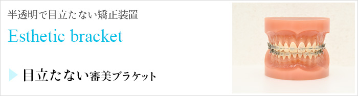 半透明で目立たない矯正装置 Esthetic bracket 目立たない審美ブラケット